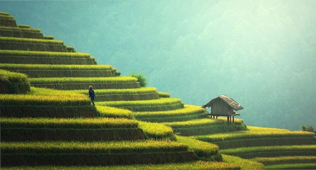 Chinesische Massage